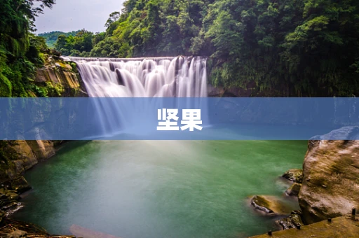 坚果