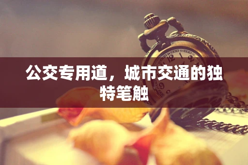 公交专用道，城市交通的独特笔触