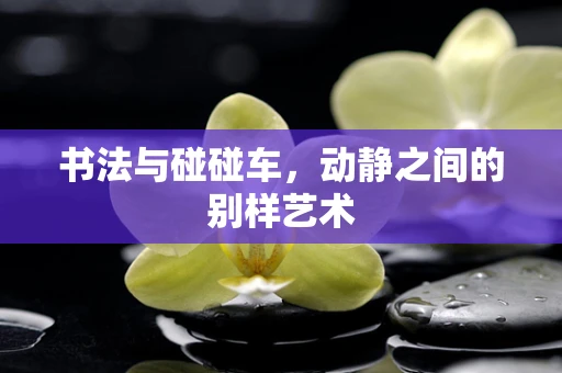 书法与碰碰车，动静之间的别样艺术