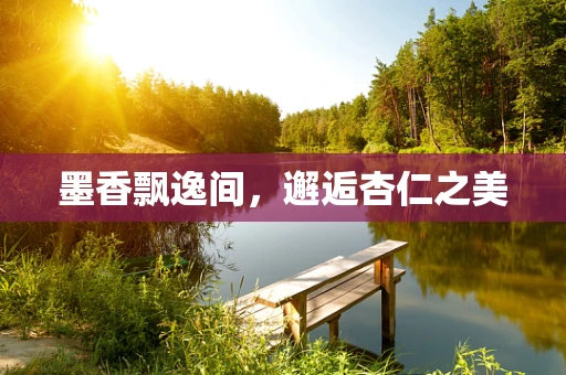 墨香飘逸间，邂逅杏仁之美