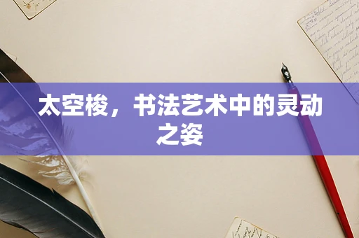 太空梭，书法艺术中的灵动之姿