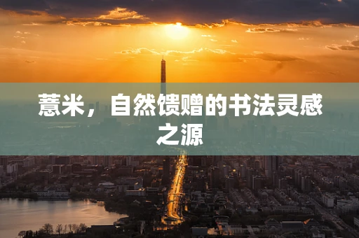 薏米，自然馈赠的书法灵感之源