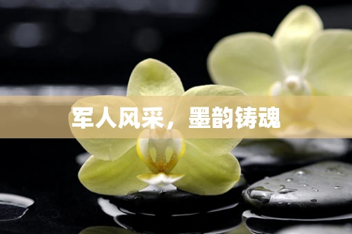 军人风采，墨韵铸魂