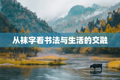 从袜字看书法与生活的交融