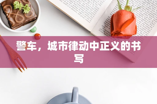 警车，城市律动中正义的书写