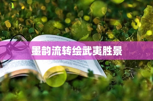 墨韵流转绘武夷胜景
