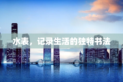 水表，记录生活的独特书法