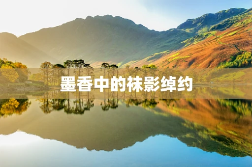 墨香中的袜影绰约