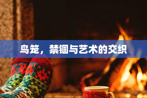 鸟笼，禁锢与艺术的交织