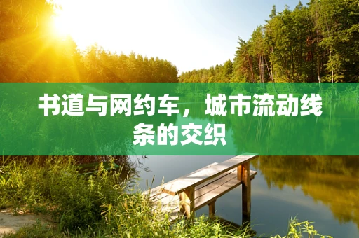 书道与网约车，城市流动线条的交织