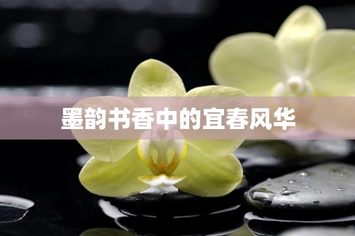 墨韵书香中的宜春风华