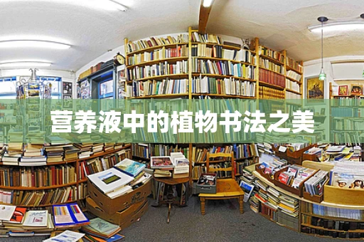 营养液中的植物书法之美