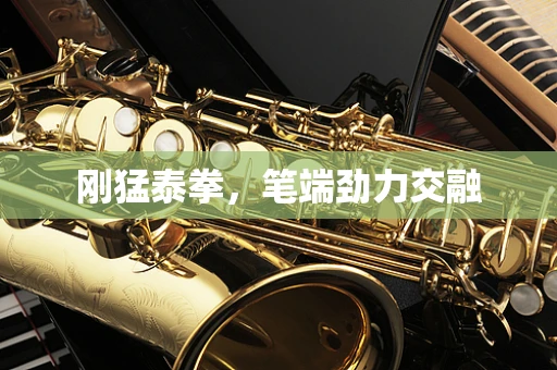 刚猛泰拳，笔端劲力交融