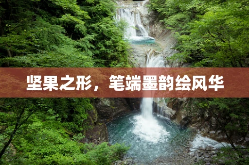 坚果之形，笔端墨韵绘风华