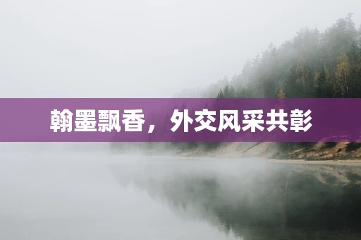 翰墨飘香，外交风采共彰