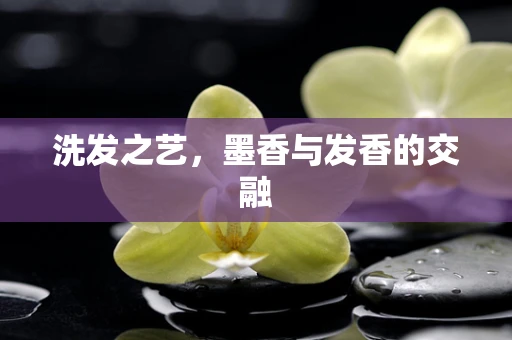 洗发之艺，墨香与发香的交融