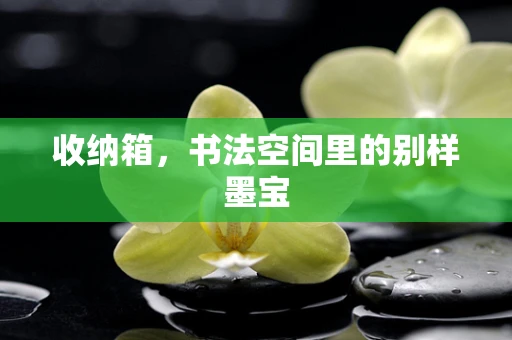 收纳箱，书法空间里的别样墨宝