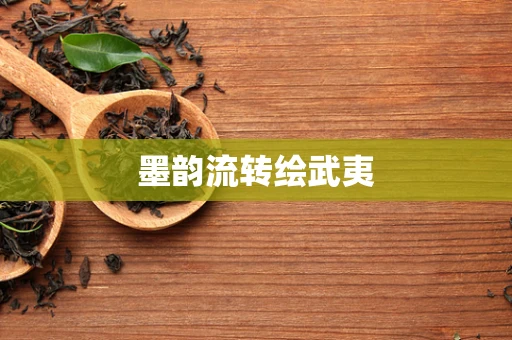 墨韵流转绘武夷