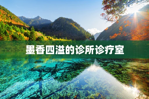 墨香四溢的诊所诊疗室