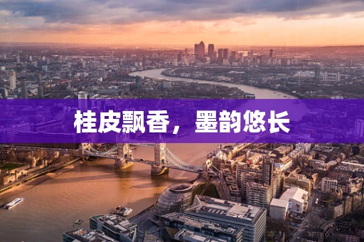 桂皮飘香，墨韵悠长