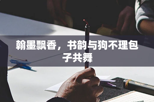 翰墨飘香，书韵与狗不理包子共舞