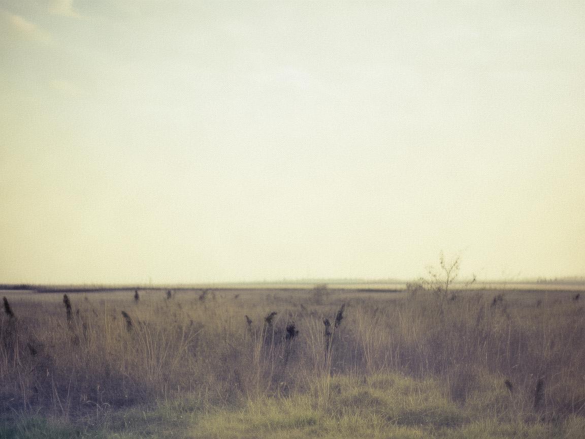 建材市场，书法艺术与材料的交融之地