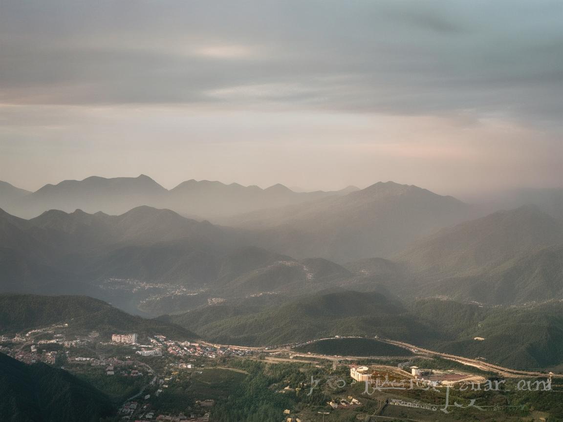 桂皮，书写在时光里的韵味